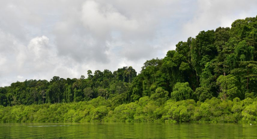 6. Baratang Island